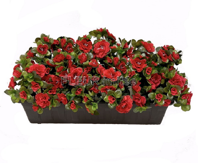 Truhlík azalka 60cm