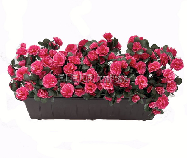 Truhlík azalka 60cm