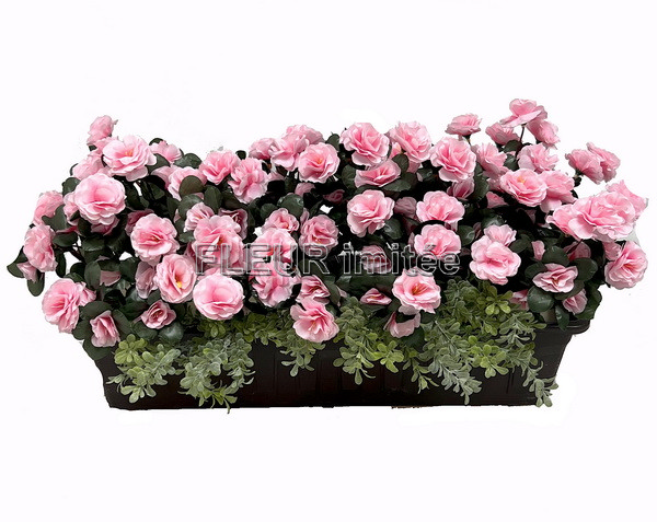 Truhlík azalka 60cm s buxus