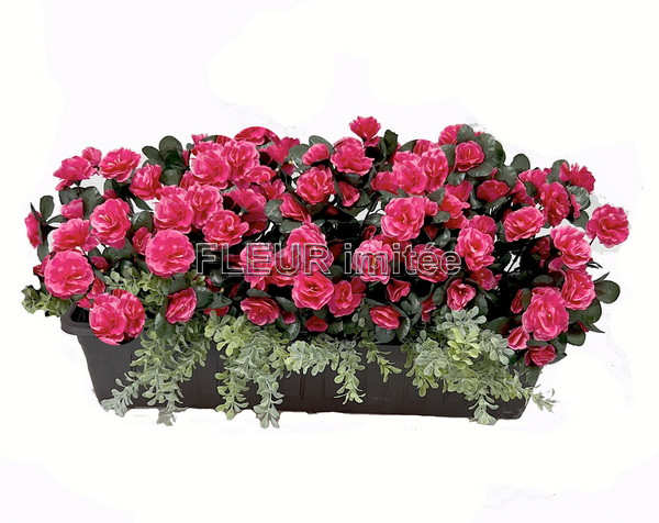 Truhlík azalka 60cm s buxus