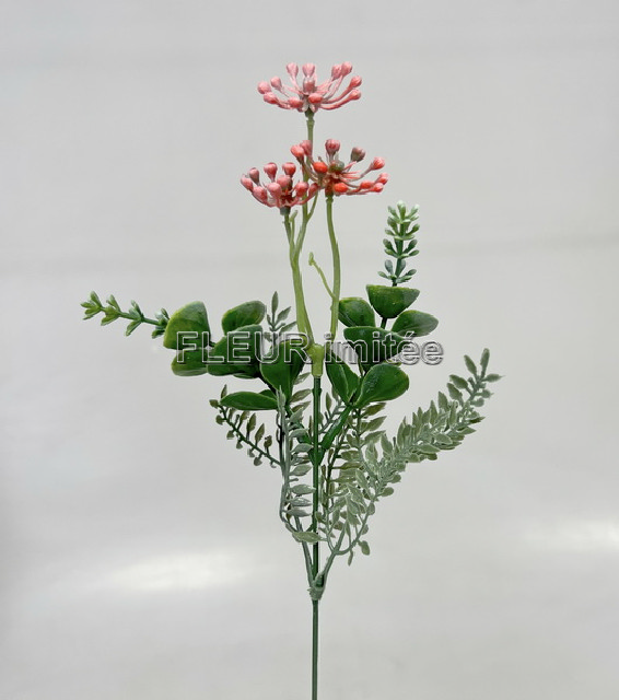 Buxus s bob. 51cm 12/48