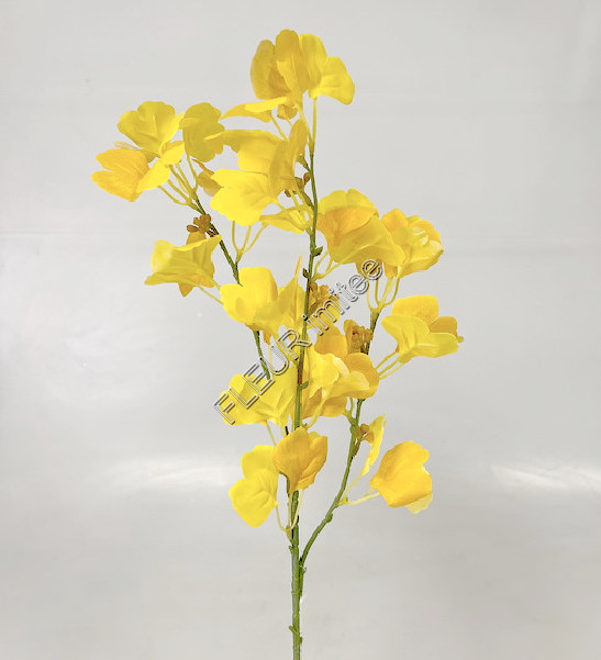 Ginkgo 75cm 2/72