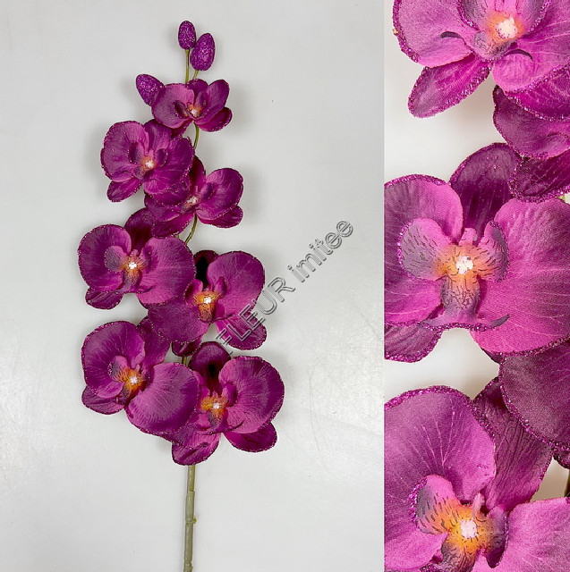 Orchidea ván. 80cm 24/384