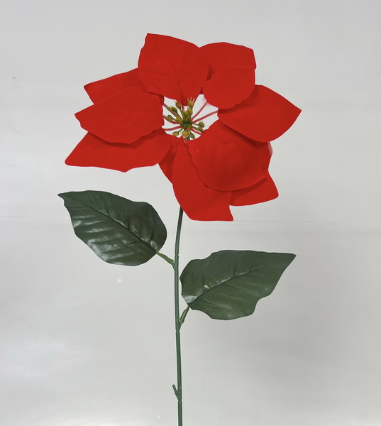 Poinsettia x1 68cm 6/180