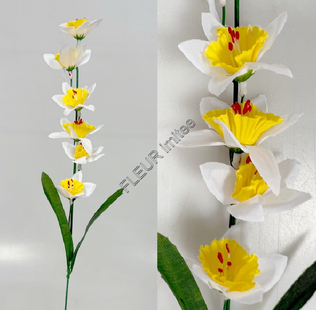 Narcis x1 6květů 50cm 72/864