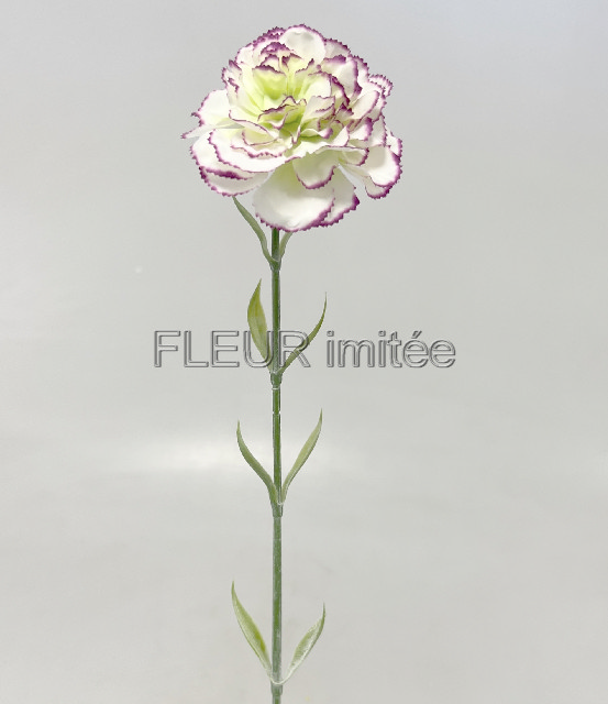 Karafiát x1 68cm 48/480