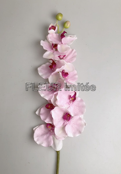 Orchidea max.10kv. 130cm  6/48