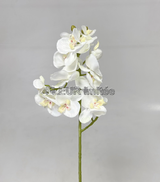 Orchidea x3  55cm 36/360