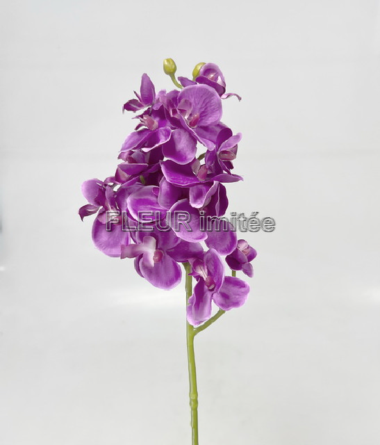 Orchidea x3  55cm 36/360