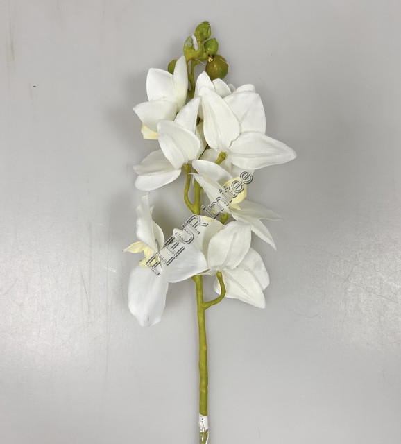 Orchidea 65cm 12/144
