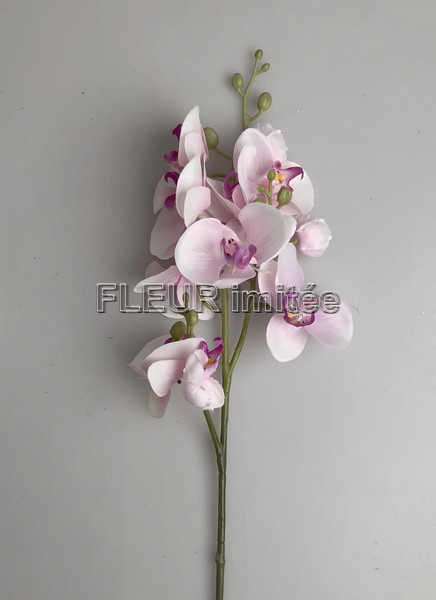 Orchidea x3  78cm 24/240