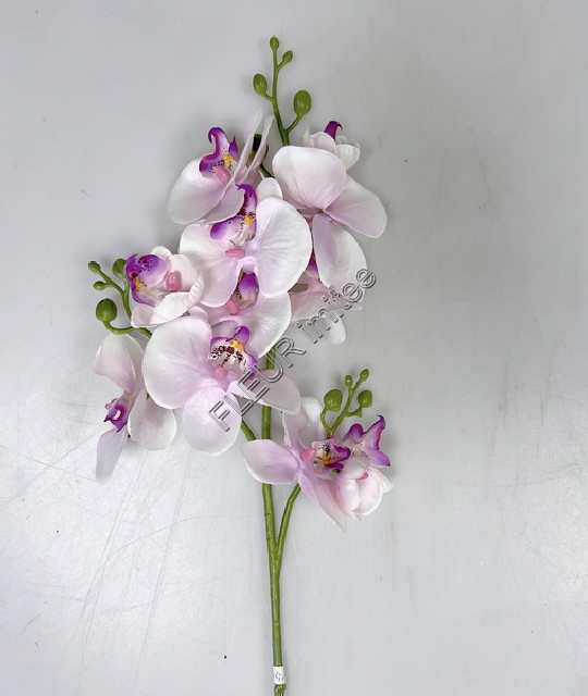 Orchidea x3  78cm 24/240