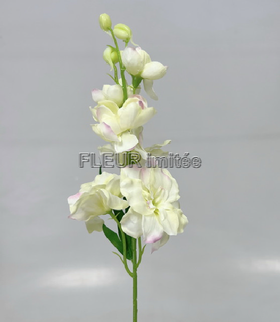 Delphinium záp.23cm S476 12/120