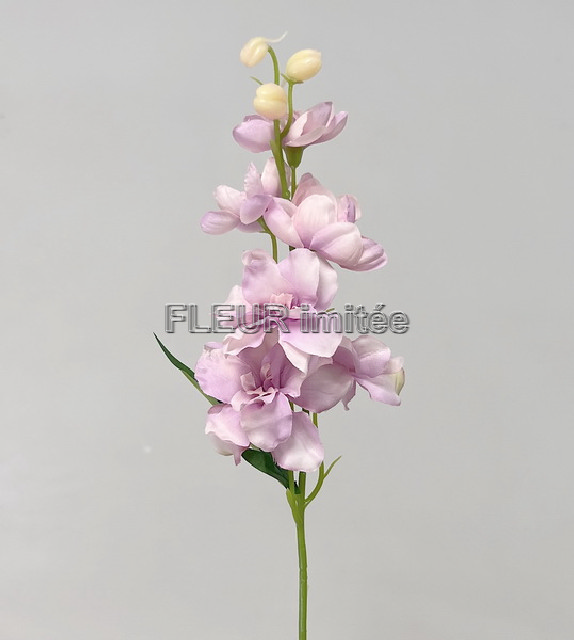 Delphinium záp.23cm S476 12/120