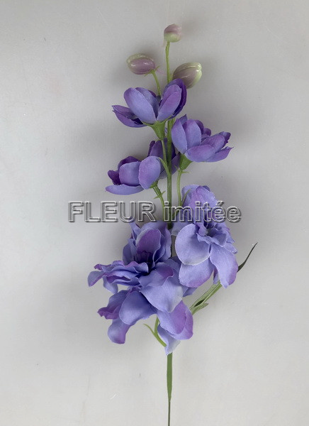 Delphinium záp.23cm S476 12/120