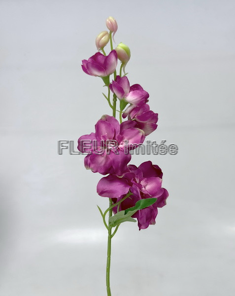 Delphinium záp.23cm S476 12/120