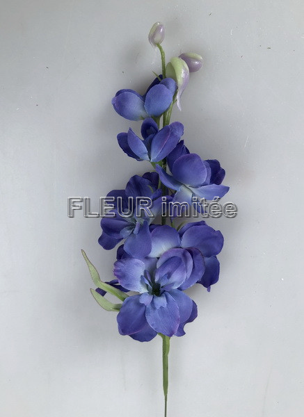 Delphinium záp.23cm 12/1200