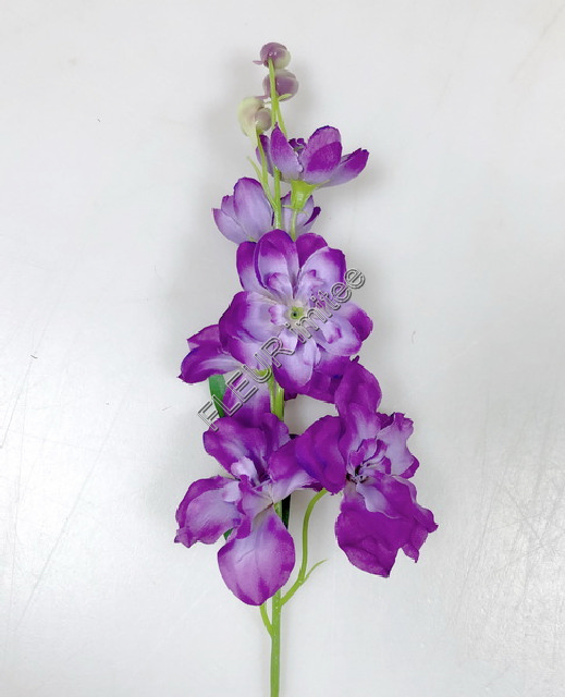 Delphinium záp.23cm S476 12/120