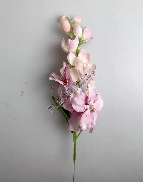 Delphinium záp.23cm S476 12/120