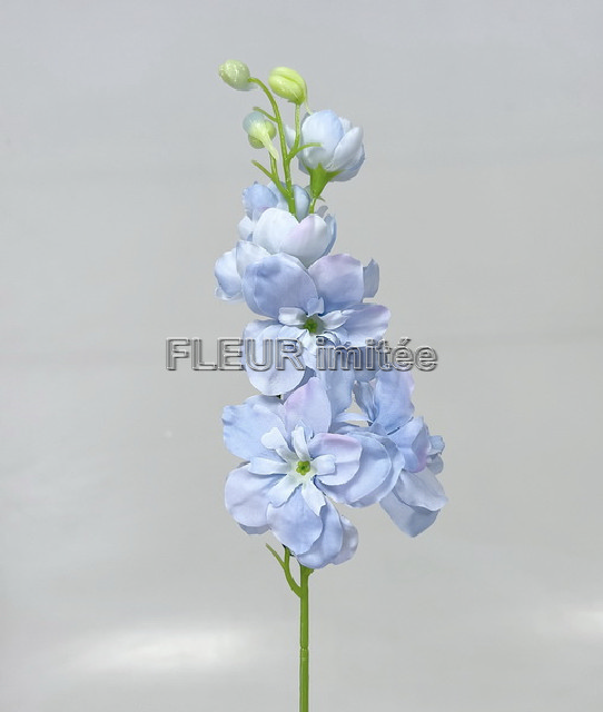 Delphinium záp.23cm S476 12/120