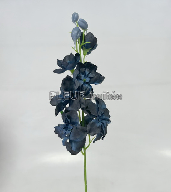 Delphinium záp.23cm S476 12/120