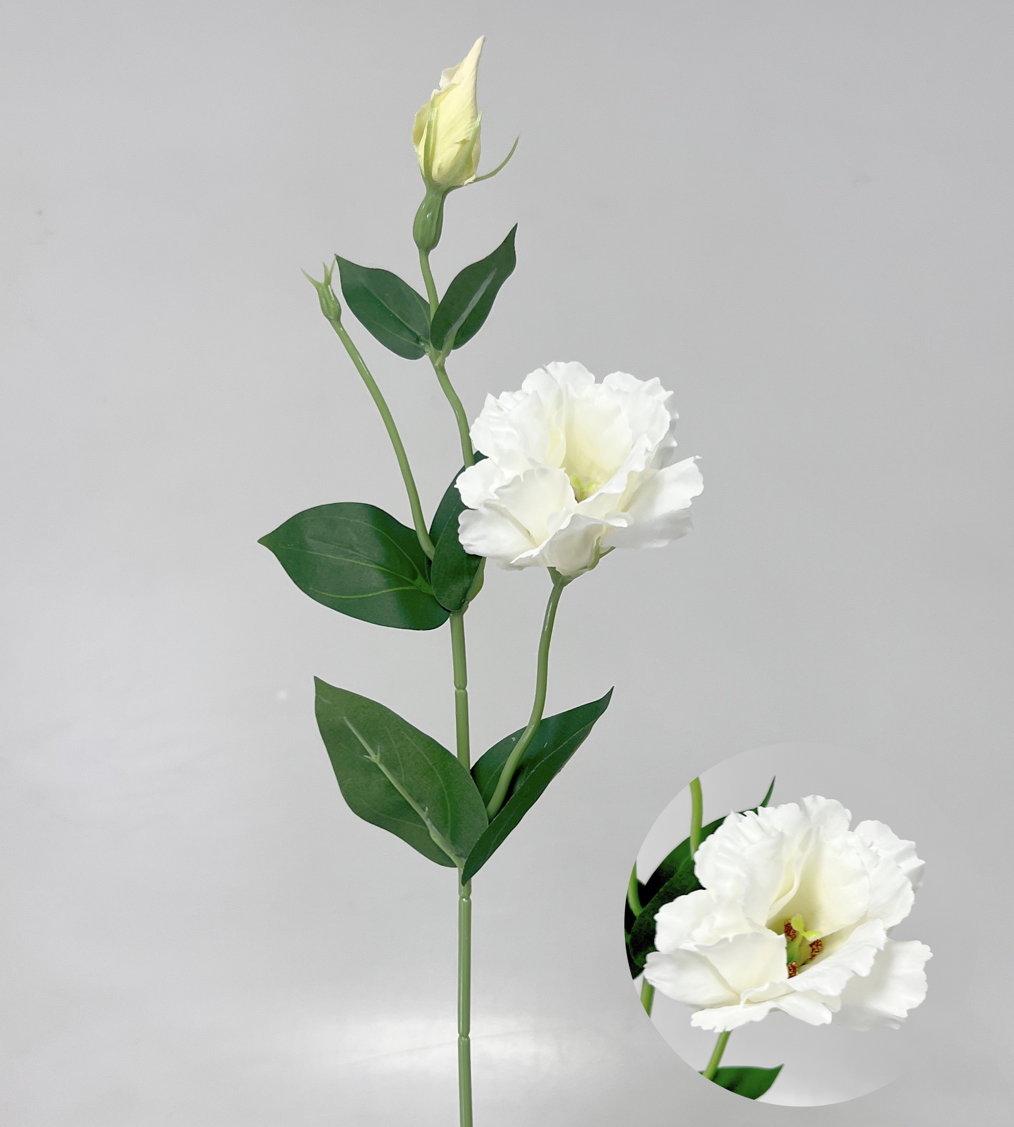 Eustoma x2 49cm 12/180