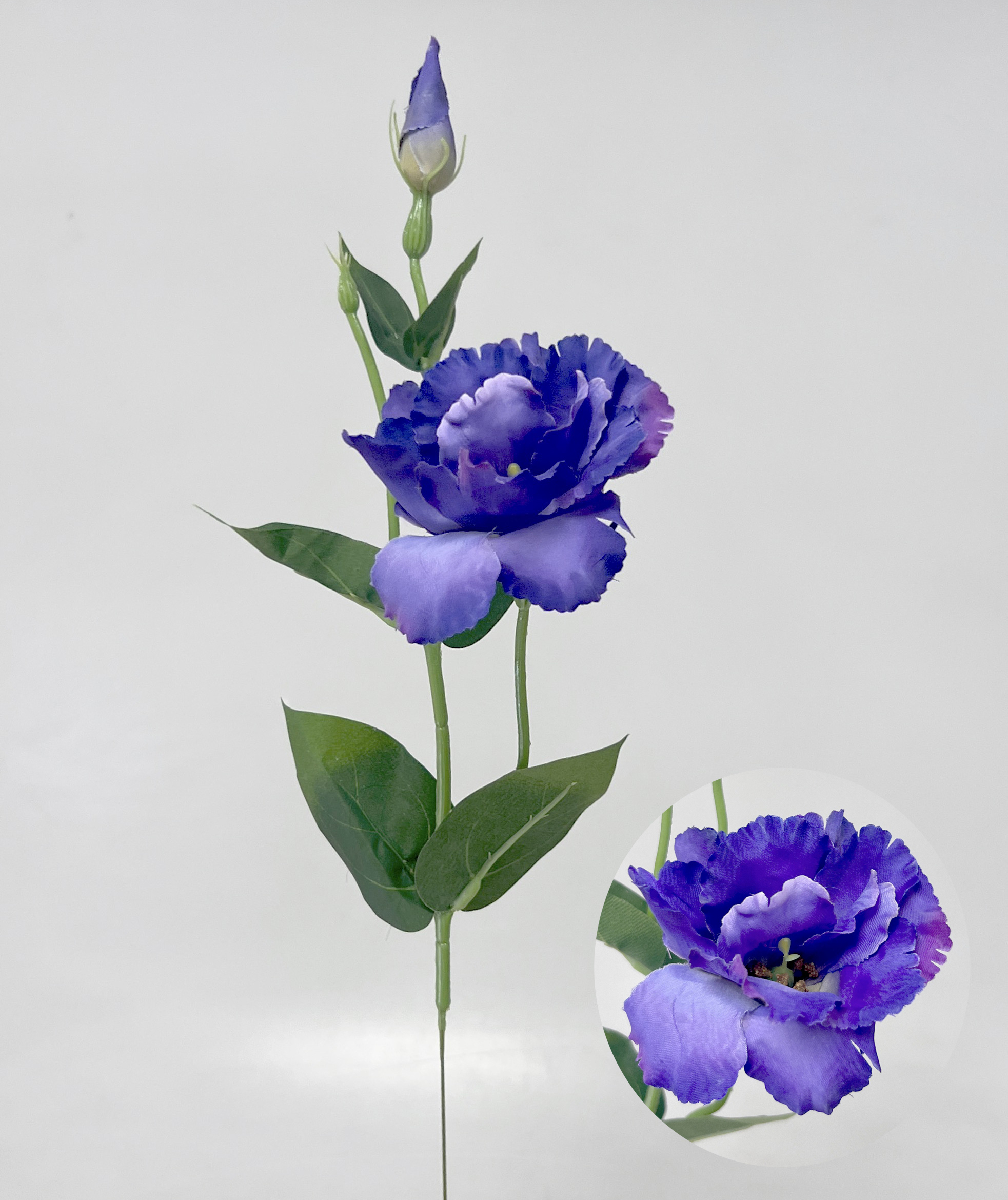 Eustoma x2 49cm 12/180