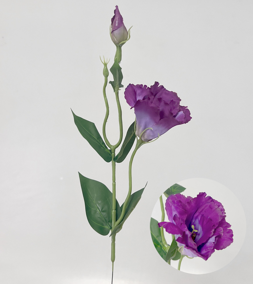 Eustoma x2 49cm 12/180