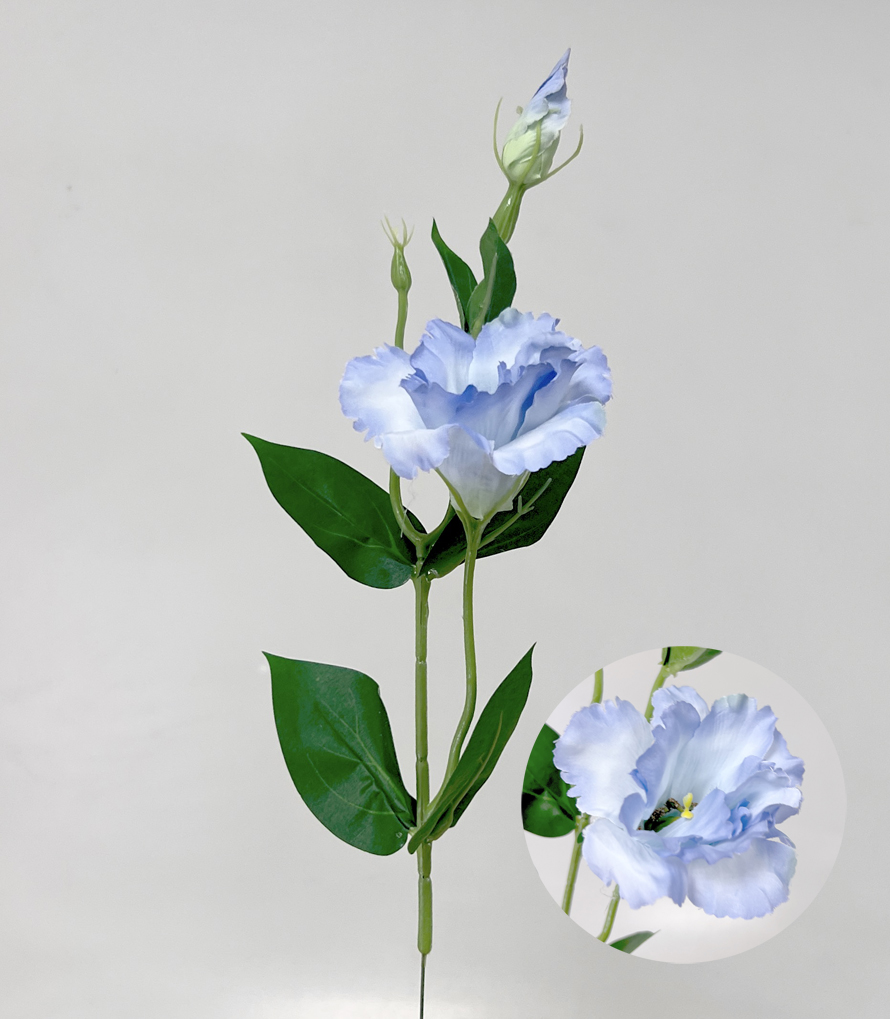 Eustoma x2 49cm 12/180