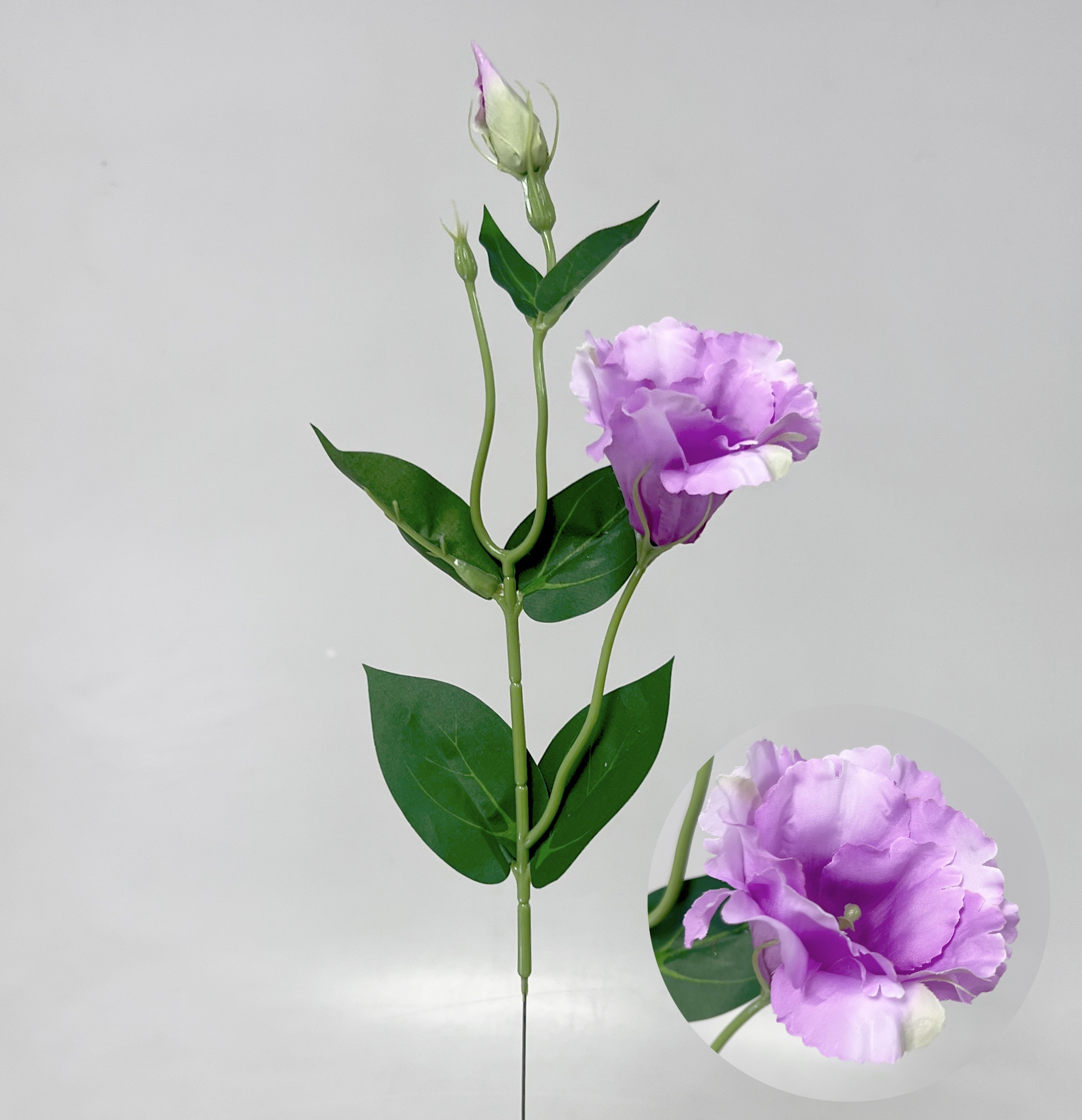 Eustoma x2 49cm 12/180