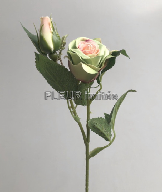 Růže s poup.mini 35cm  12/120