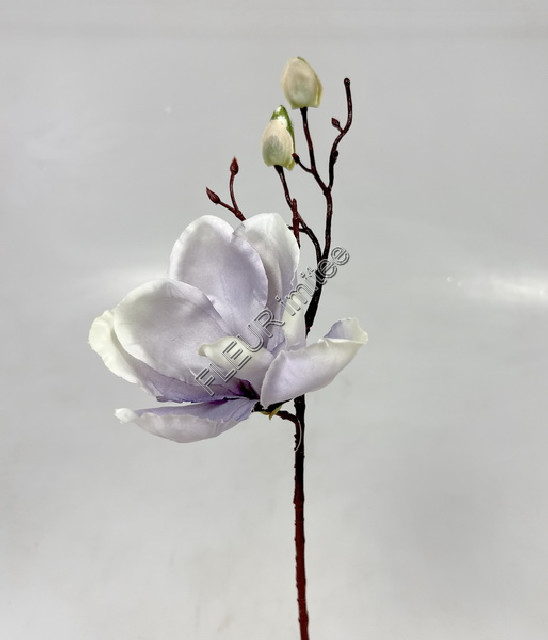 Magnolie 30cm   24/288