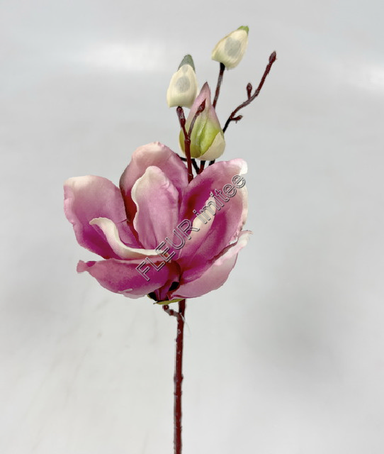 Magnolie 30cm   24/288