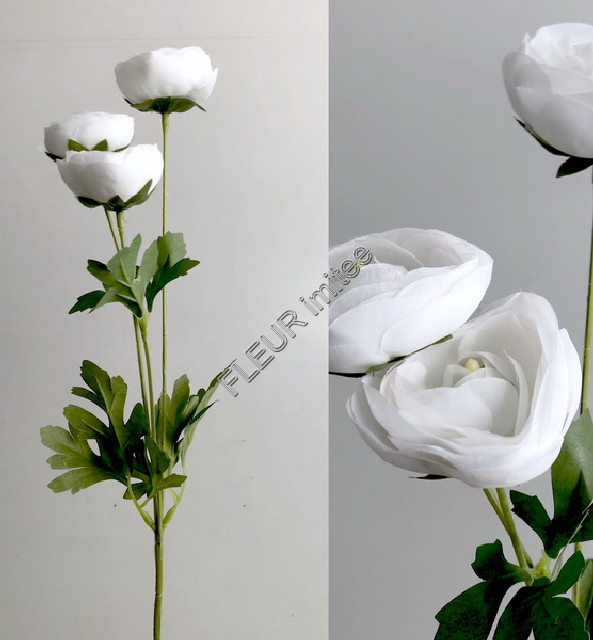 Ranunculus x3 55cm 6/144