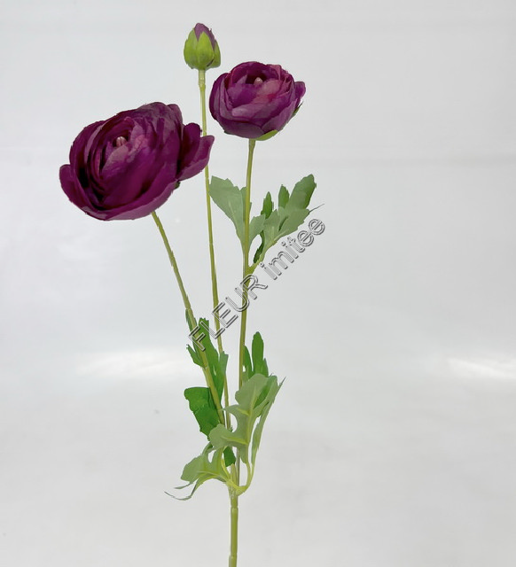 Ranunculus x3 55cm 6/144