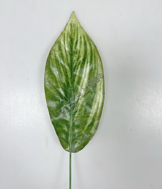List croton 1/36