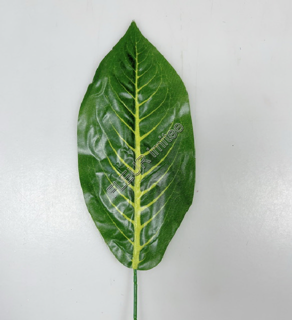 List croton 1/36