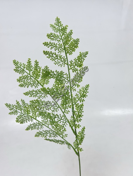 Kapradí x3 57cm 12/216