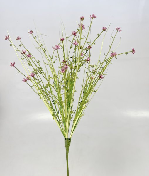 Verbena 49cm 4/200