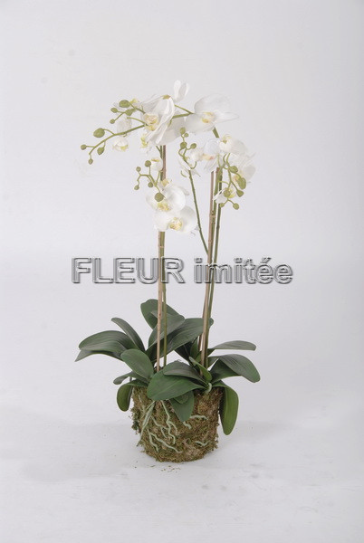 Orchidea phal. 90cm s mechem