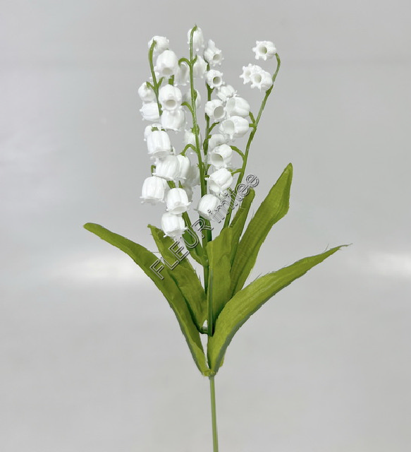 Konvalinka záp.x5 34cm 36/572.