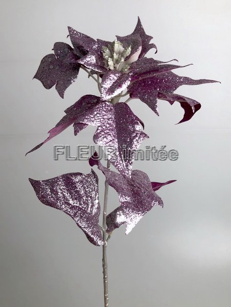Poinsettia ván.s flitry  70cm 12/96