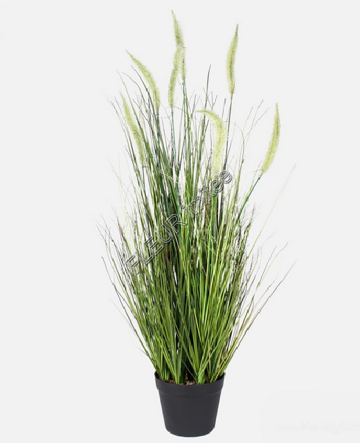 Tráva v květ. 90cm s klasem 2/8