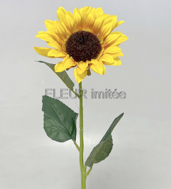 Slunečnice x1 50cm 48/240