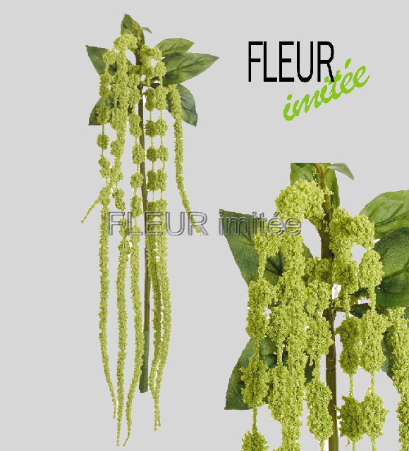 Amaranthus 120cm 