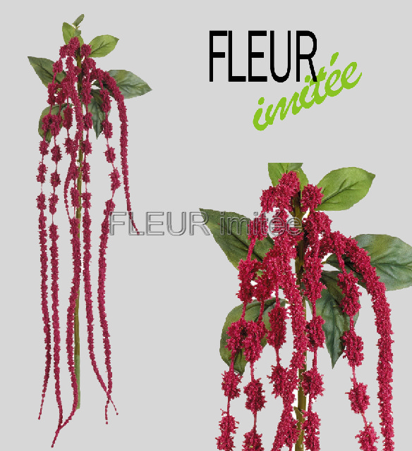 Amaranthus 120cm 