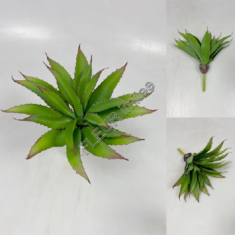Aloe 27cm 1/12