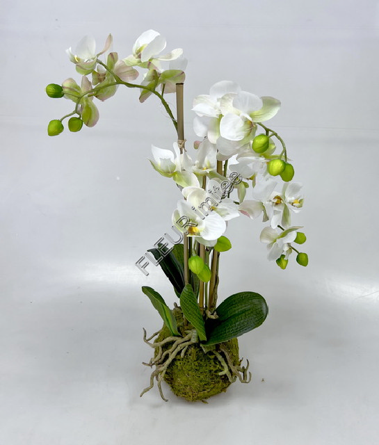 Orchidea x4 v balu 51cm
