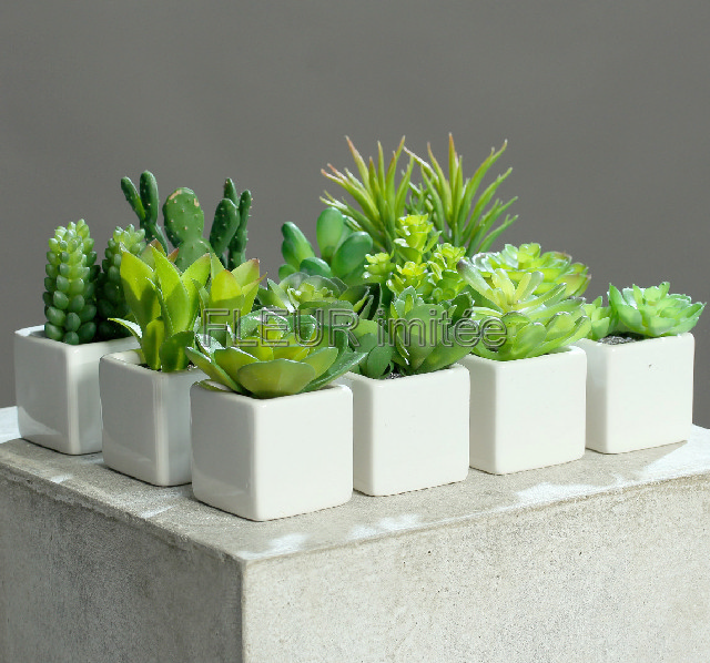 Sukulent mini 10cm vč.květníku