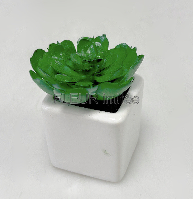 Sukulent mini 10cm vč.květníku